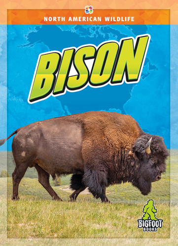 Bison - 9781645197249 by Jenny Mason, 9781645197249