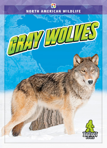 Gray Wolves - 9781645197263 by Jenny Mason, 9781645197263