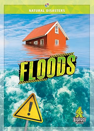 Floods - 9781645197416 by Joanne Mattern, 9781645197416