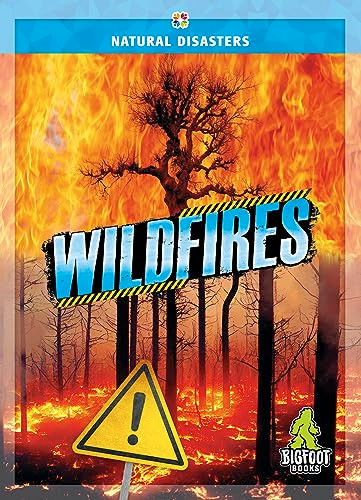 Wildfires - 9781645197447 by Joanne Mattern, 9781645197447