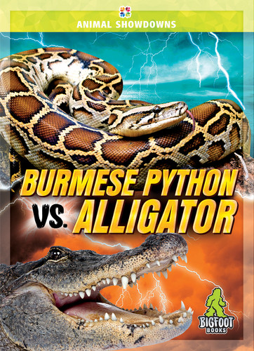 Burmese Python vs. Alligator by Cynthia O'Brien, 9781645197942