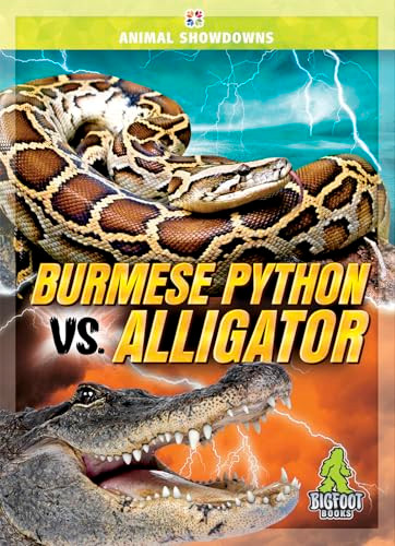 Burmese Python vs. Alligator by Cynthia O'Brien, 9781645197942