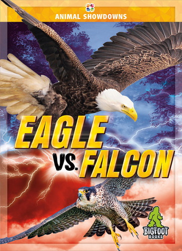 Eagle vs. Falcon by Cynthia O'Brien, 9781645197959
