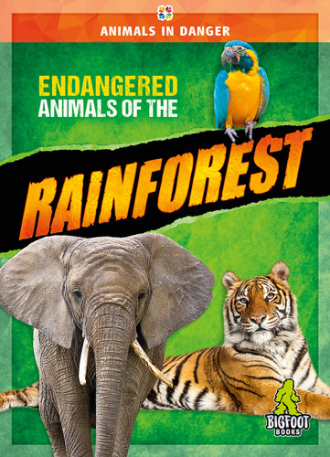 Endangered Animals of the Rainforest by Cynthia O'Brien, 9781645198116