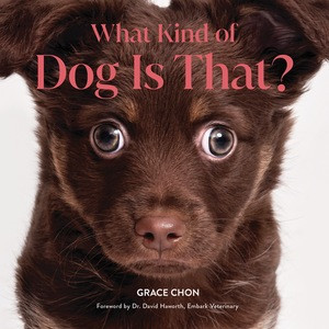 What Kind of Dog Is That? by Grace Chon, David Haworth, 9781682689646