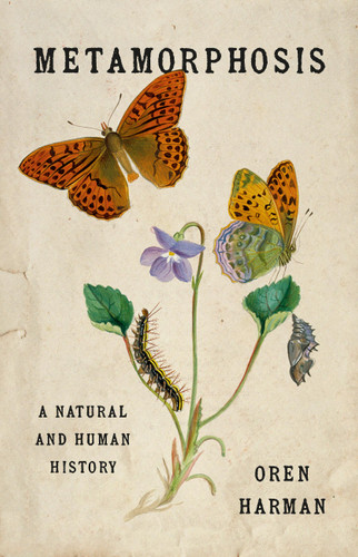 Metamorphosis (A Natural and Human History) by Oren Harman, 9781541607606