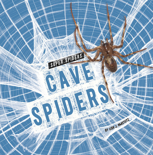 Cave Spiders - 9798875224690 by Lisa J. Amstutz, 9798875224690