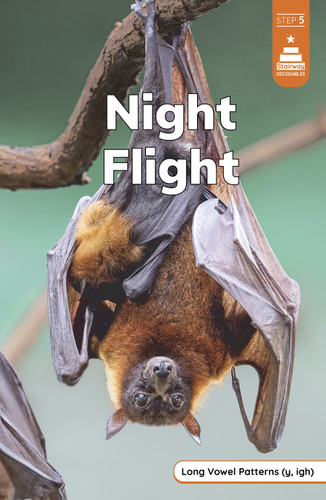 Night Flight - 9798875227196 by Marley Richmond, 9798875227196