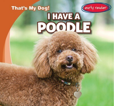 I Have a Poodle - 9781482470024 by Benjamin Proudfit, 9781482470024