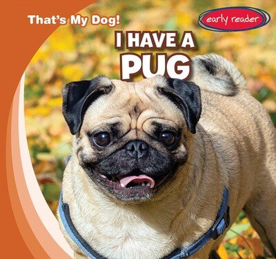 I Have a Pug by Benjamin Proudfit, 9781482470048