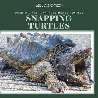 Snapping Turtles - 9781725352988 by Jagger Youssef, 9781725352988