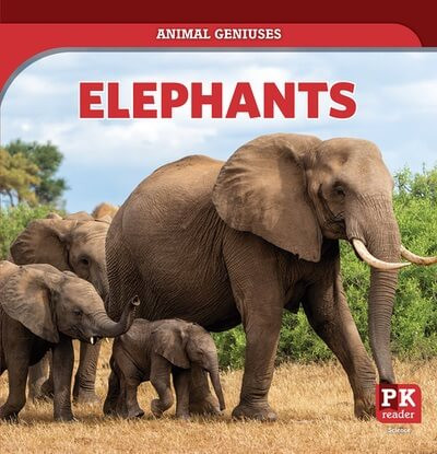 Elephants - 9781499451894 by Theresa Emminizer, 9781499451894