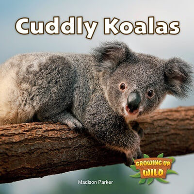 Cuddly Koalas - 9781978574007 by Madison Parker, 9781978574007