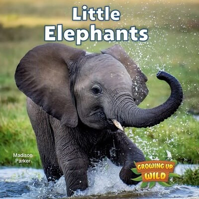 Little Elephants - 9781978574120 by Madison Parker, 9781978574120