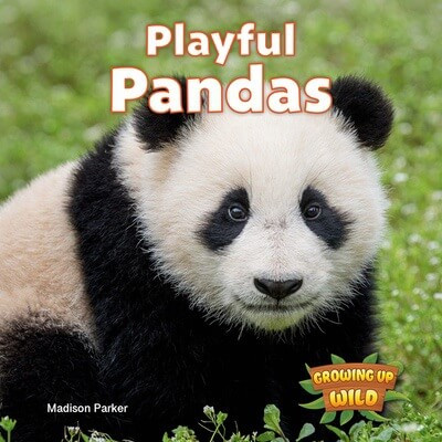 Playful Pandas - 9781978574182 by Madison Parker, 9781978574182
