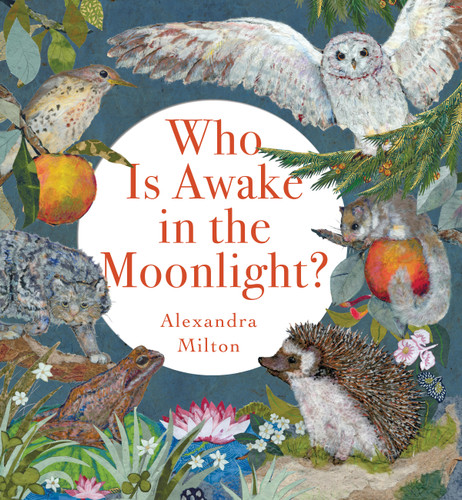 Who Is Awake in the Moonlight? by Alexandra Milton, 9781454712855