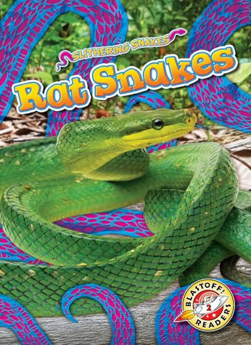 Rat Snakes - 9798893044782 by Joanne Mattern, 9798893044782