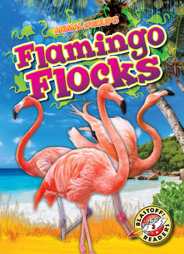Flamingo Flocks by Rachel Grack, 9798893045116