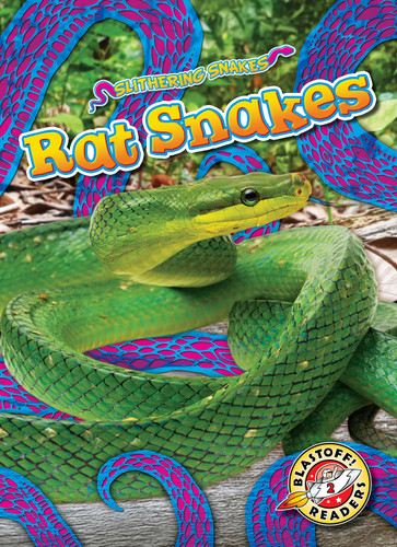 Rat Snakes - 9798893047196 by Joanne Mattern, 9798893047196