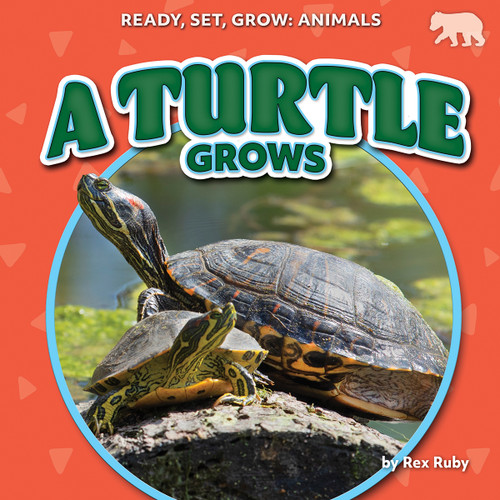 A Turtle Grows by Rex Ruby, 9798892329972