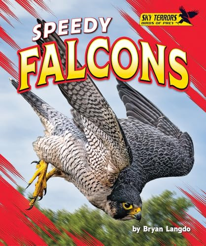 Speedy Falcons by Bryan Langdo, 9798895770597