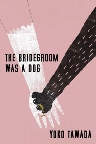 The Bridegroom Was a Dog - 9780811239967 by Yoko Tawada, Margaret Mitsutani, 9780811239967