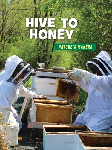 Hive to Honey - 9781534139572 by Julie Knutson, 9781534139572