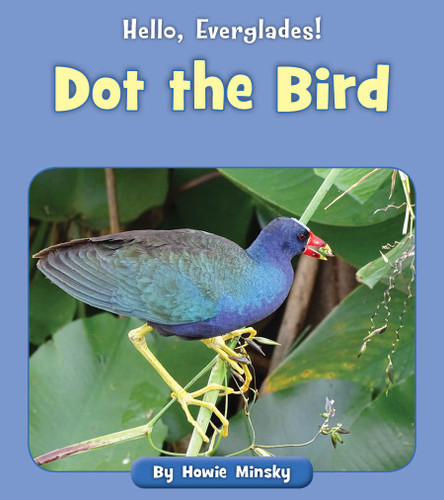Dot the Bird by Howie Minsky, 9781534157255