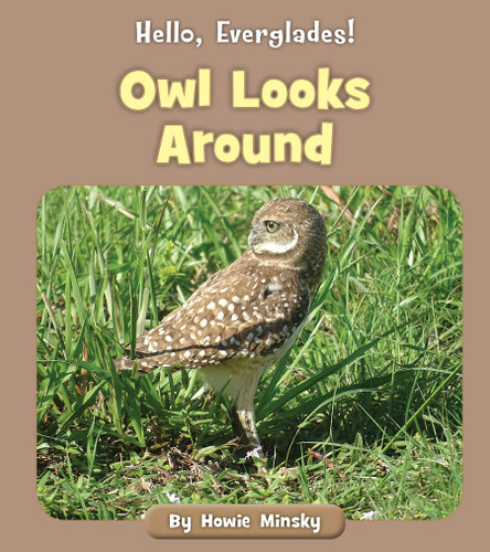 Owl Looks Around by Howie Minsky, 9781534157316