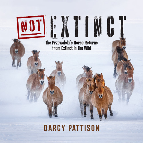 NOT Extinct (The Przewalski's Horse Returns from Extinct in the Wild) - 9781629442655 - 9781629442655 by Darcy Pattison