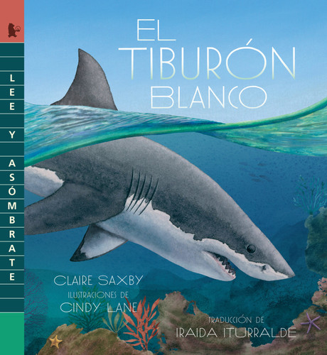 El tiburón blanco (Spanish Edition) by Claire Saxby, Cindy Lane, 9781536251555