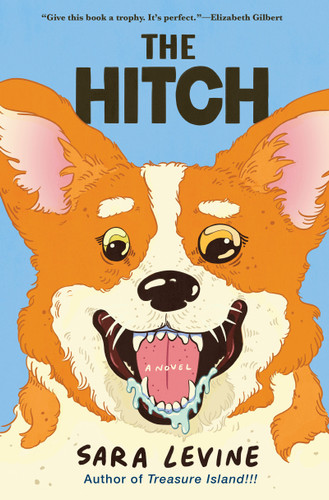 The Hitch by Sara Levine, 9780802165923