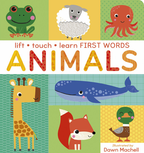 Lift Touch and Learn First Words: Animals by Villetta Craven, Dawn Machell, 9781664351837