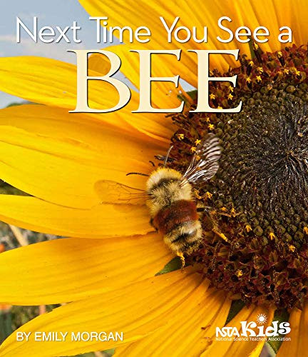 Next Time You See a Bee by Emily Morgan, 9781681406510