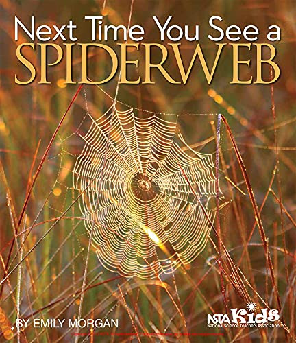 Next Time You See a Spiderweb by Emily Morgan, 9781938946349