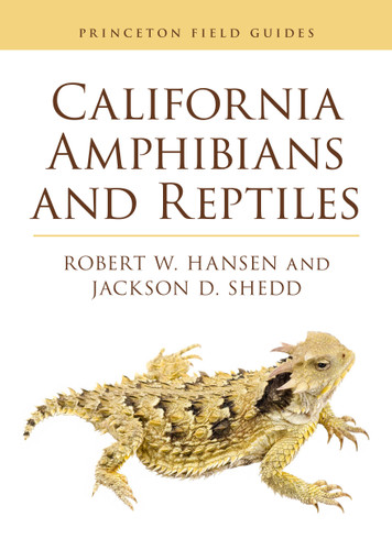 California Amphibians and Reptiles by Robert Hansen, Jackson D. Shedd, 9780691249070