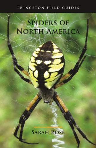 Spiders of North America by Sarah Rose, Eric R. Eaton, 9780691175614 Spiders of North America by Sarah Rose, Eric R. Eaton, 9780691175614