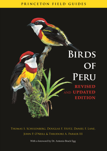 Birds of Peru (Revised and Updated Edition) by Thomas S. Schulenberg, Douglas F. Stotz, Daniel F. Lane, John P. O'Neill, Theodore A. Parker III, Dr. Antonio Brack Egg, 9780691130231