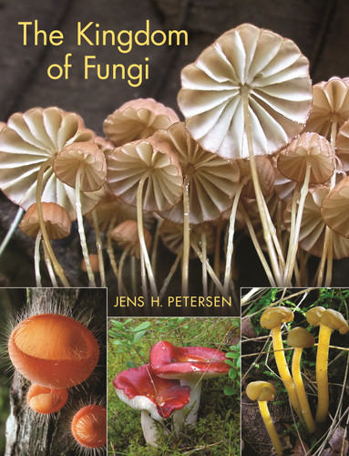 The Kingdom of Fungi by Jens H. Petersen, 9780691157542