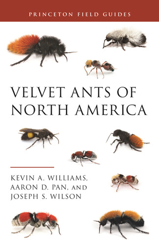 Velvet Ants of North America by Kevin Williams, Aaron D. Pan, Joseph S. Wilson, 9780691212043