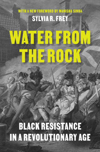 Water from the Rock (Black Resistance in a Revolutionary Age) by Sylvia R. Frey, 9780691237787