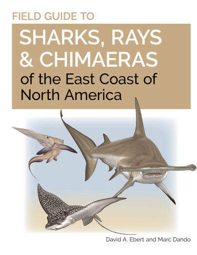 Field Guide to Sharks, Rays and Chimaeras of the East Coast of North America by David A. Ebert, Marc Dando, 9780691206387
