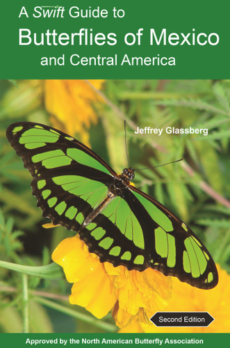 A Swift Guide to Butterflies of Mexico and Central America (Second Edition) by Jeffrey Glassberg, 9780691176482