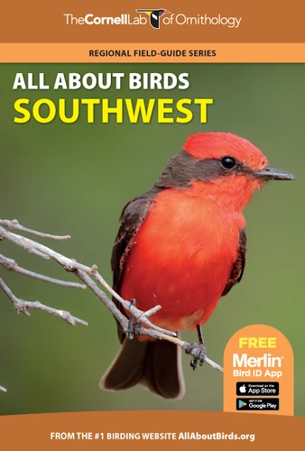 All About Birds Southwest by Cornell Lab of Ornithology, 9780691990040