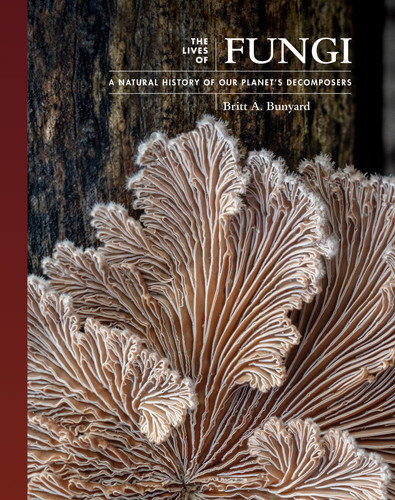 The Lives of Fungi (A Natural History of Our Planet's Decomposers) by Britt A. Bunyard, 9780691229843