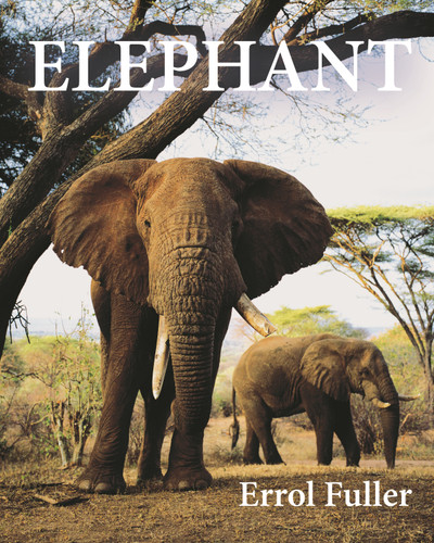 Elephant - 9780691191324 - 9780691191324 by Errol Fuller, 9780691191324