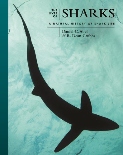 The Lives of Sharks (A Natural History of Shark Life) by Daniel Abel, R. Dean Grubbs, 9780691244310 The Lives of Sharks (A Natural History of Shark Life) by Daniel Abel, R. Dean Grubbs, 9780691244310