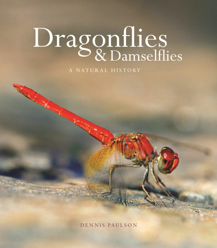 Dragonflies and Damselflies (A Natural History) by Dennis Paulson, 9780691180366