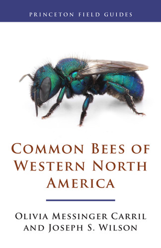 Common Bees of Western North America by Olivia Messinger Carril, Joseph S. Wilson, 9780691175508