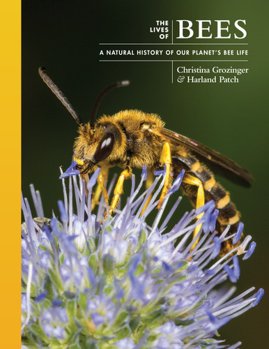 The Lives of Bees (A Natural History of Our Planet's Bee Life) by Christina Grozinger, Harland Patch, 9780691247298